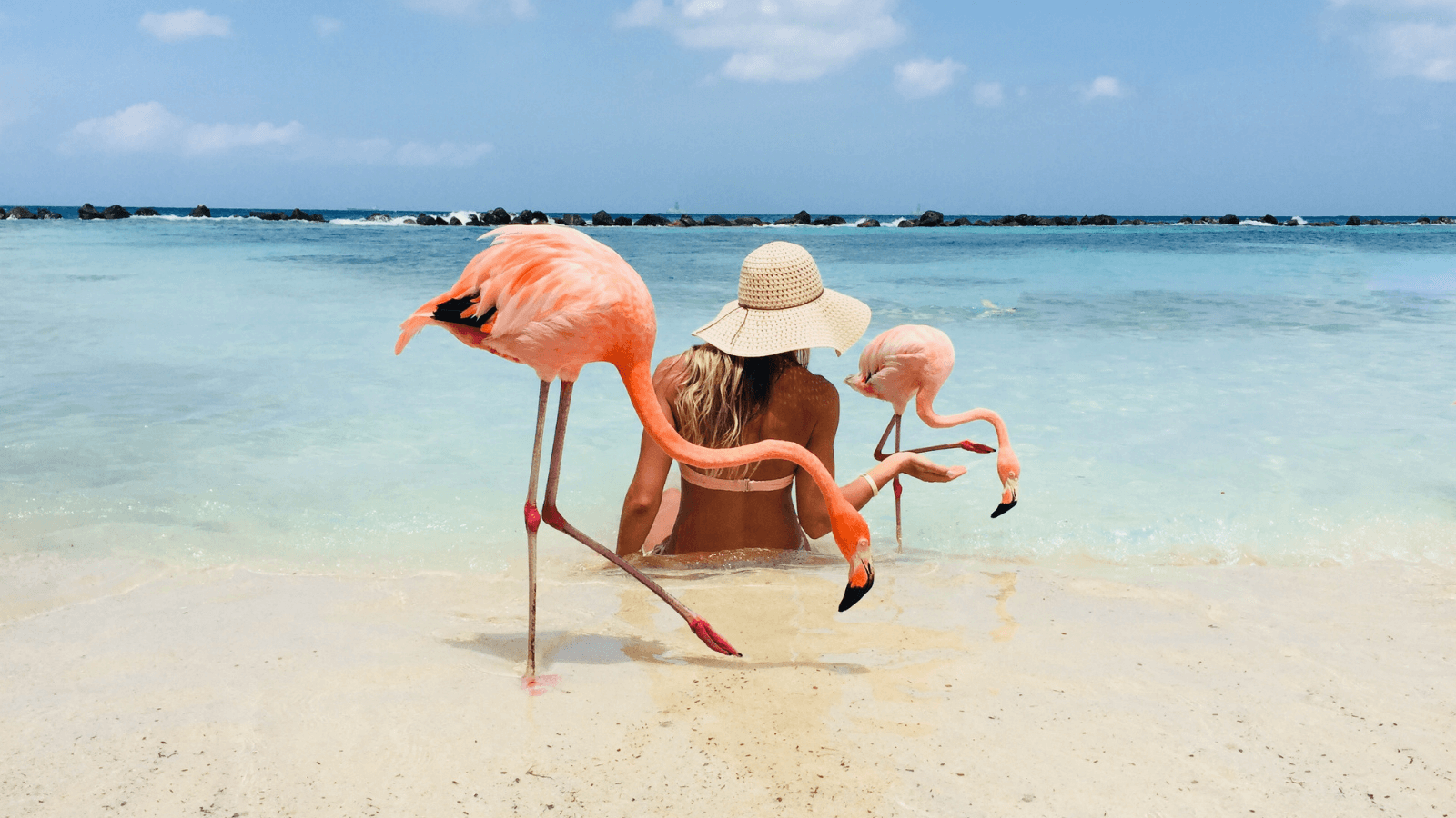 Flamingo Beach in Aruba * A wanderluster’s dream come true. 