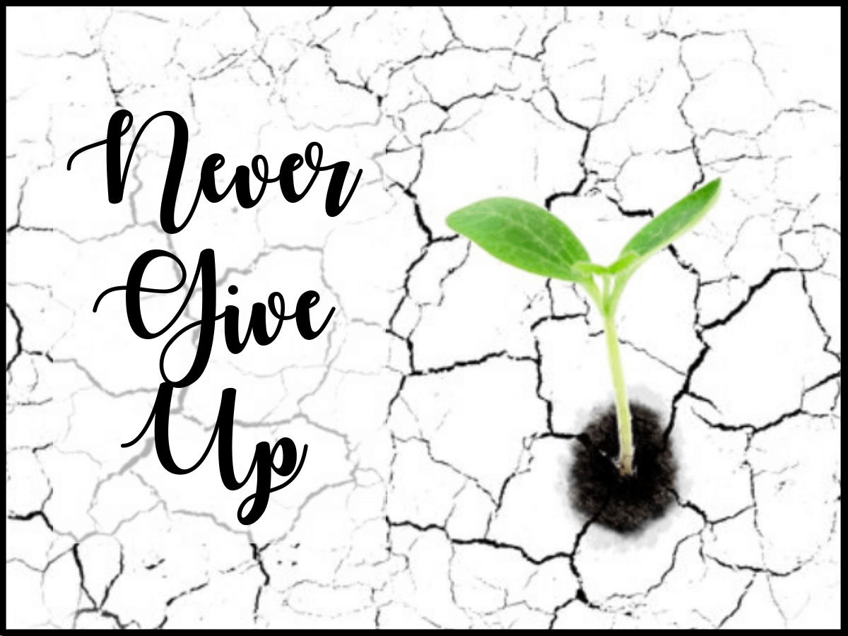 never-give-up